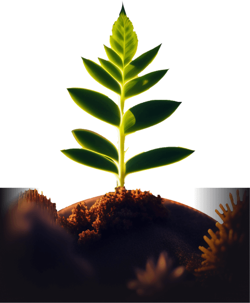 traivend-tree